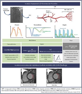 Frontiers Microcirculation Function Assessment In Acute Myocardial